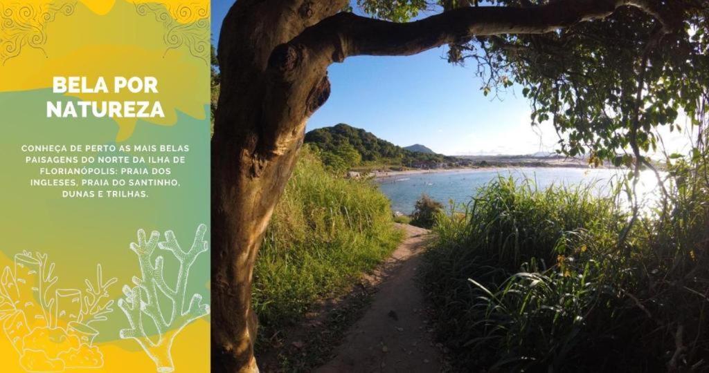 Imobilha - Casa De Praia C/ Piscina Ingleses - Santinho Florianópolis Екстериор снимка